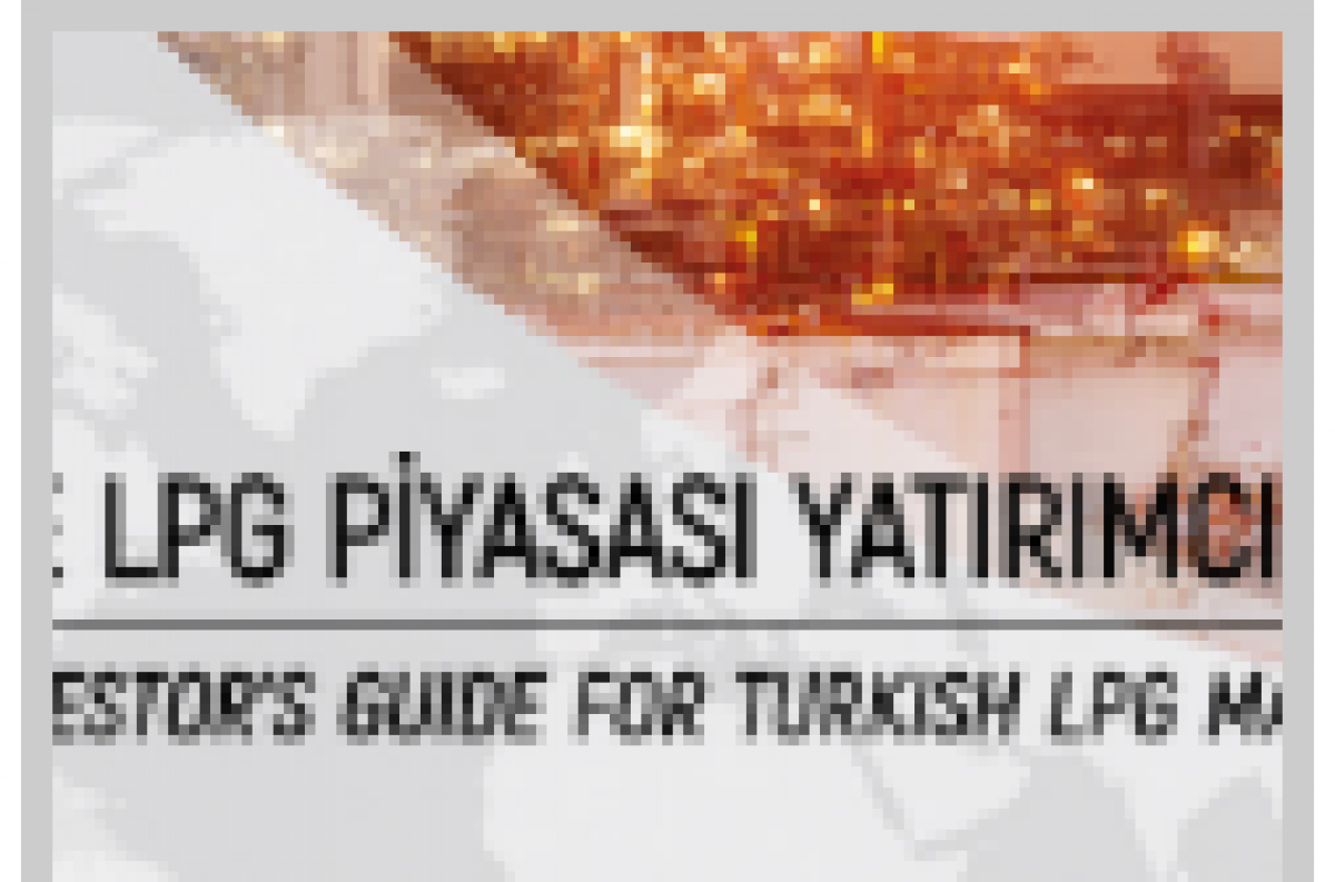 Türkiye LPG Piyasası Yatırımcı Rehberi